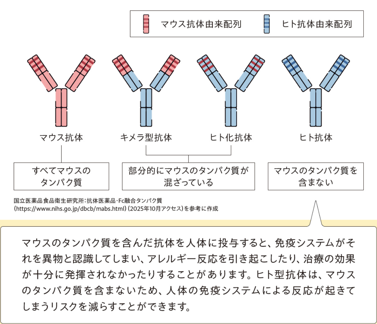 抗体医薬について