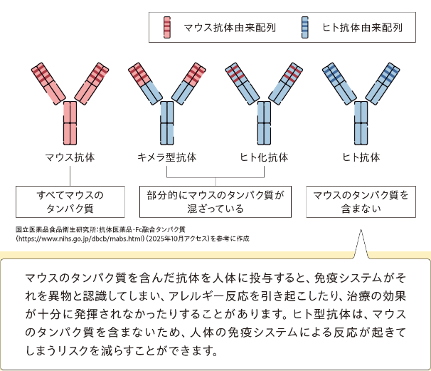 抗体医薬について
